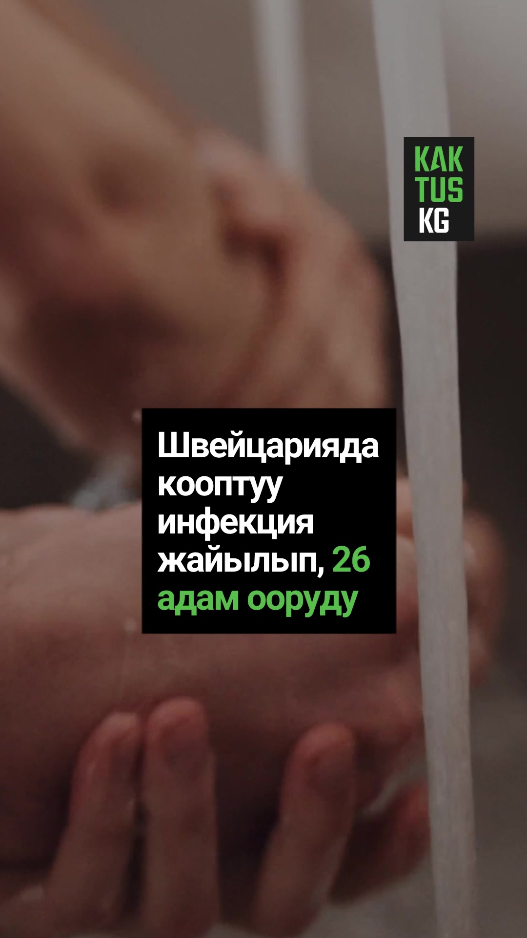@Kaktus KG
