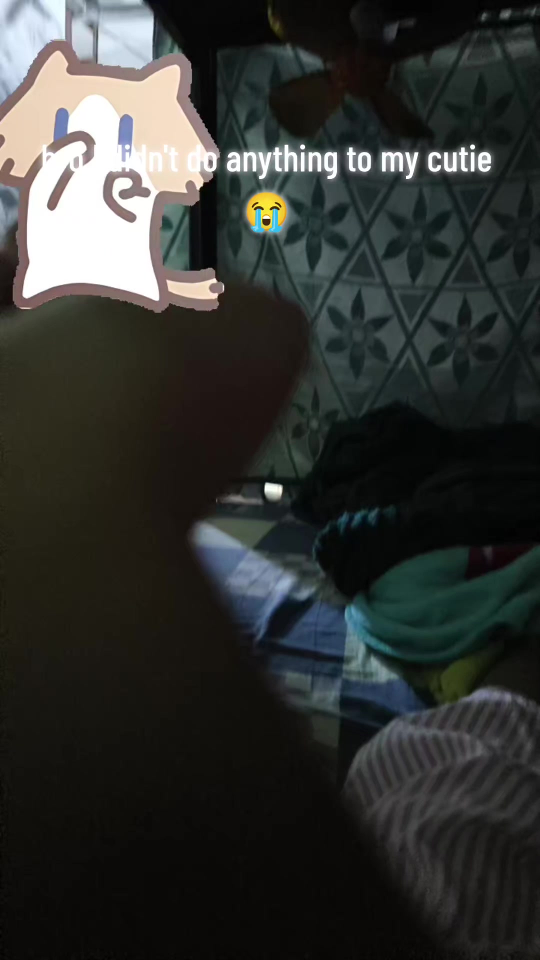 @Sofia18
