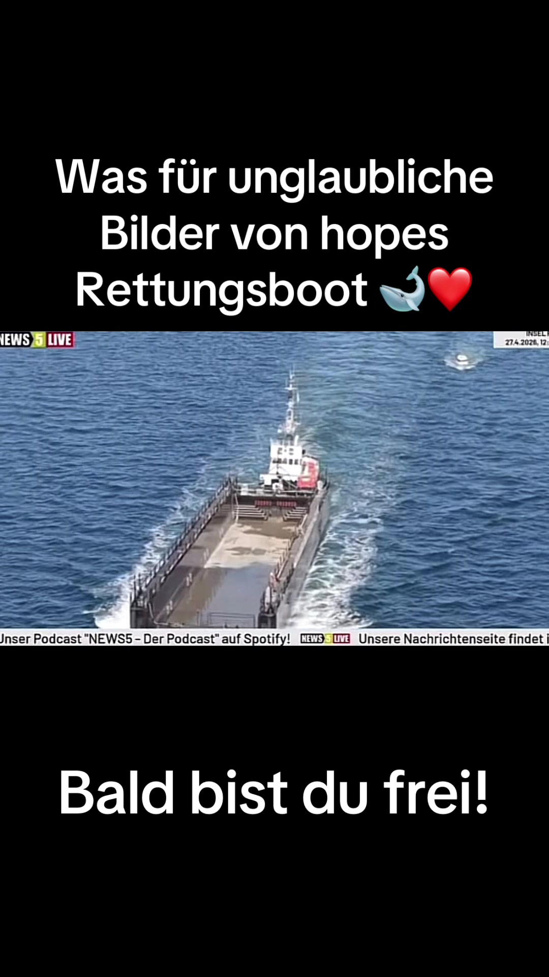 @Rettet Hope 🐋