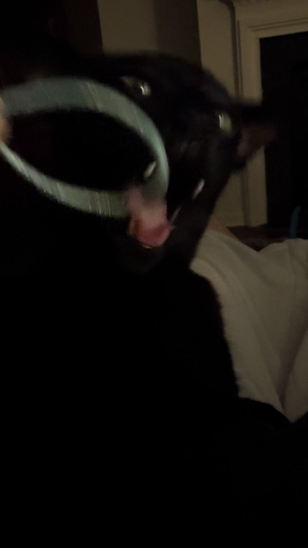 @hobbikats