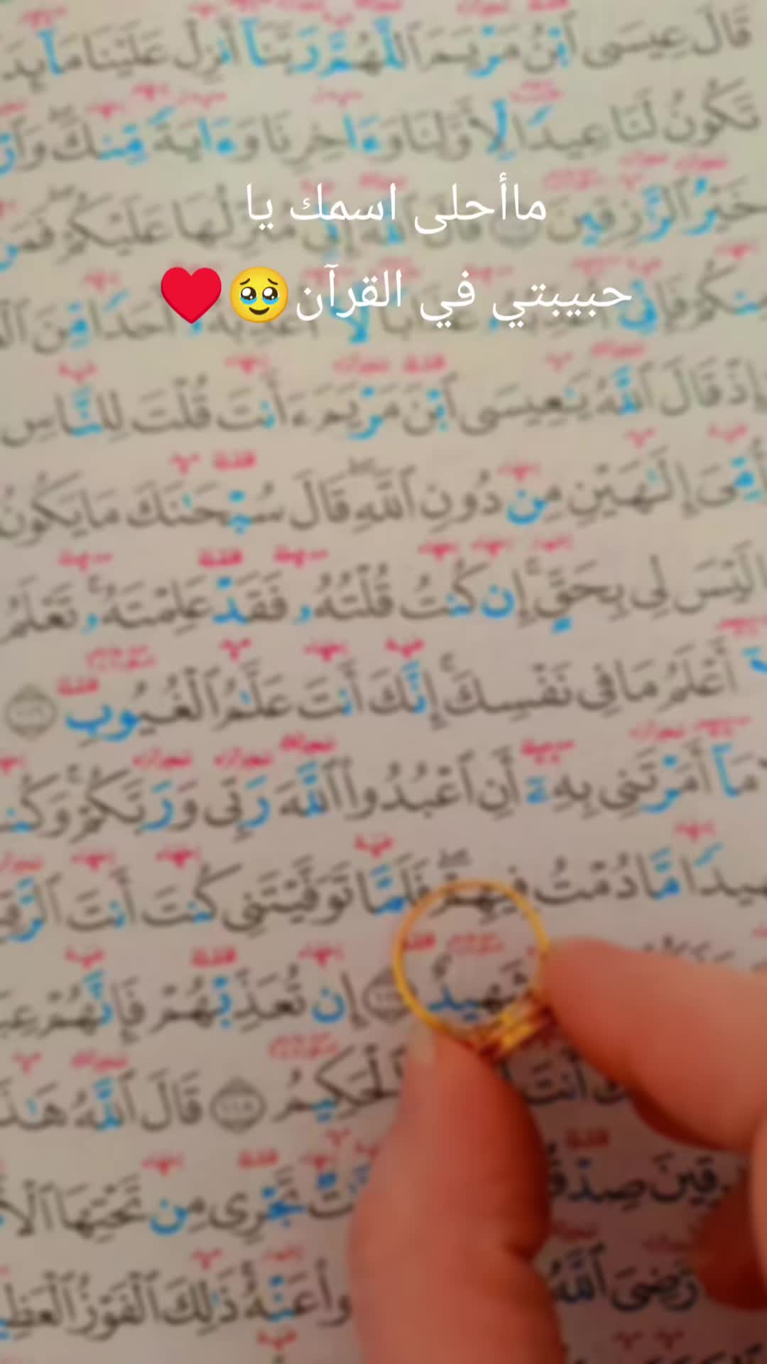 @s&uuml;meyra