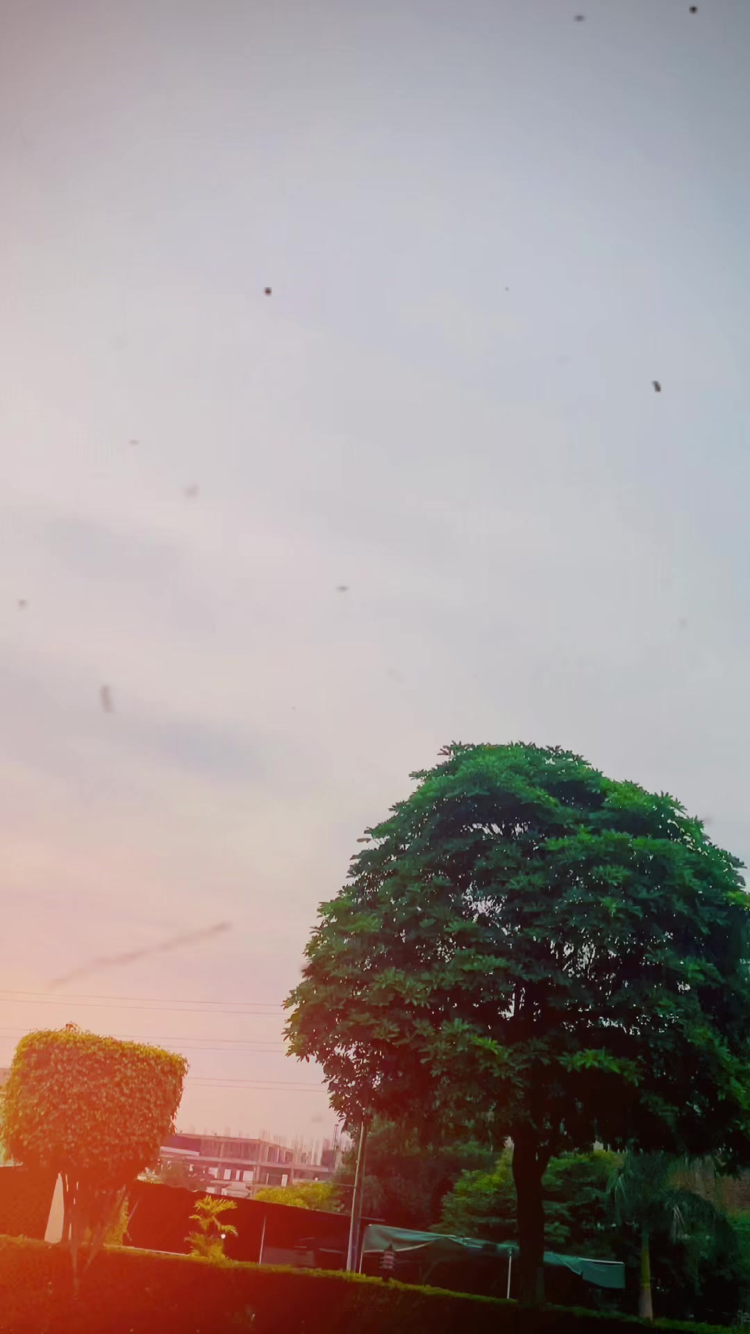@🦅عمر یوسفزائُ 🌸