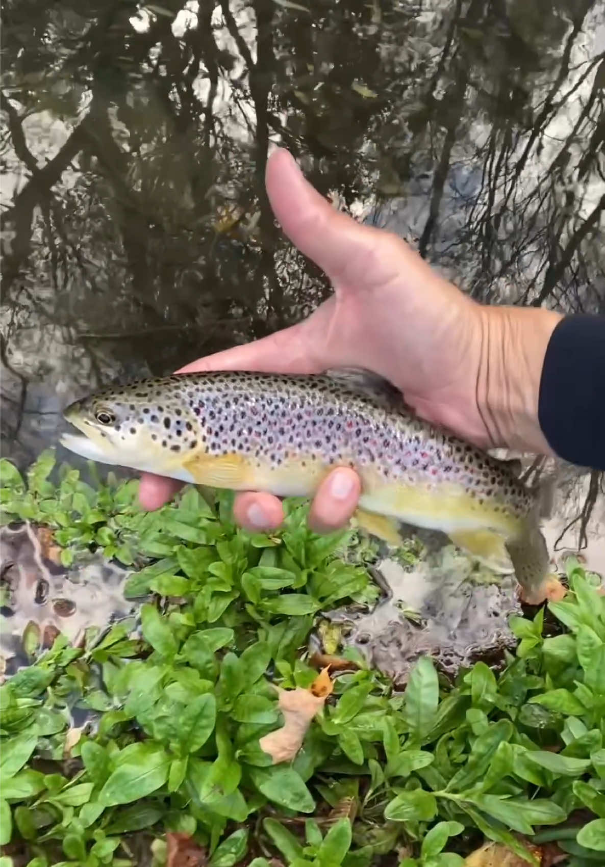 @FlyFishDelawhere