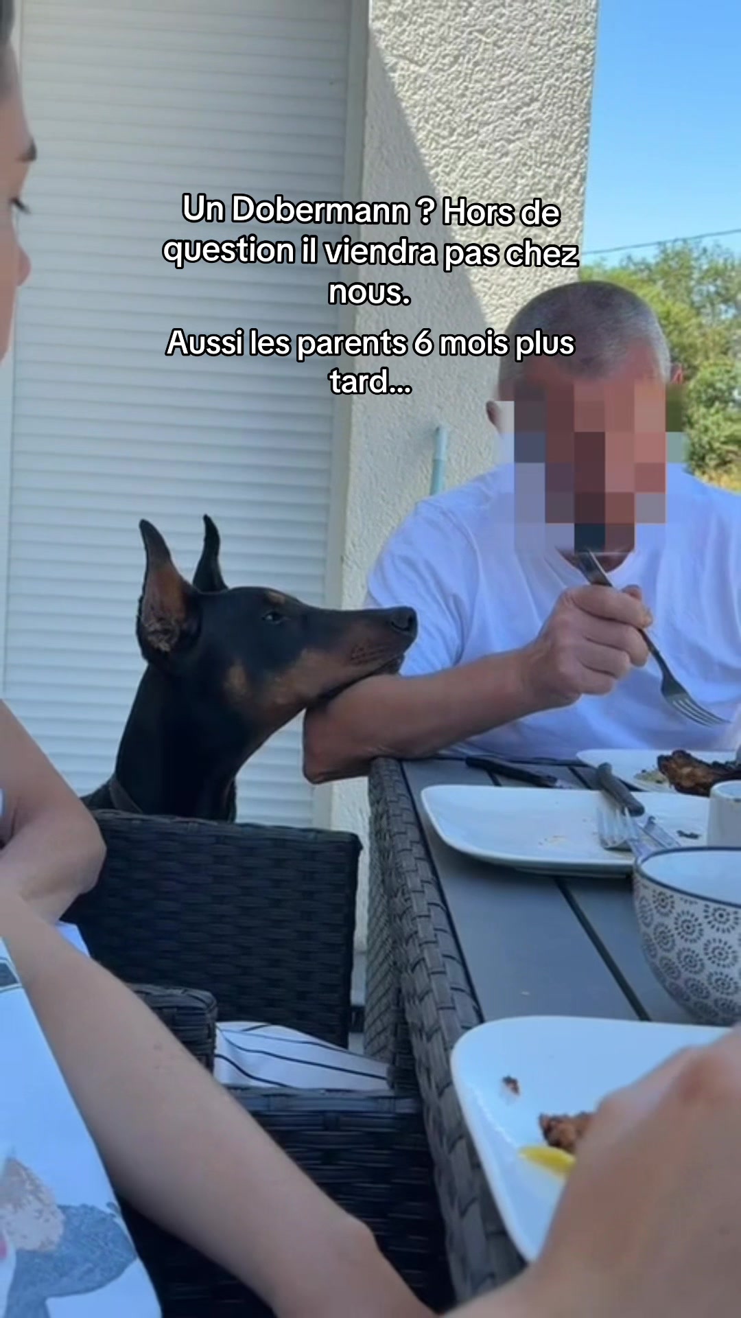 @Ar&egrave;s 🐶