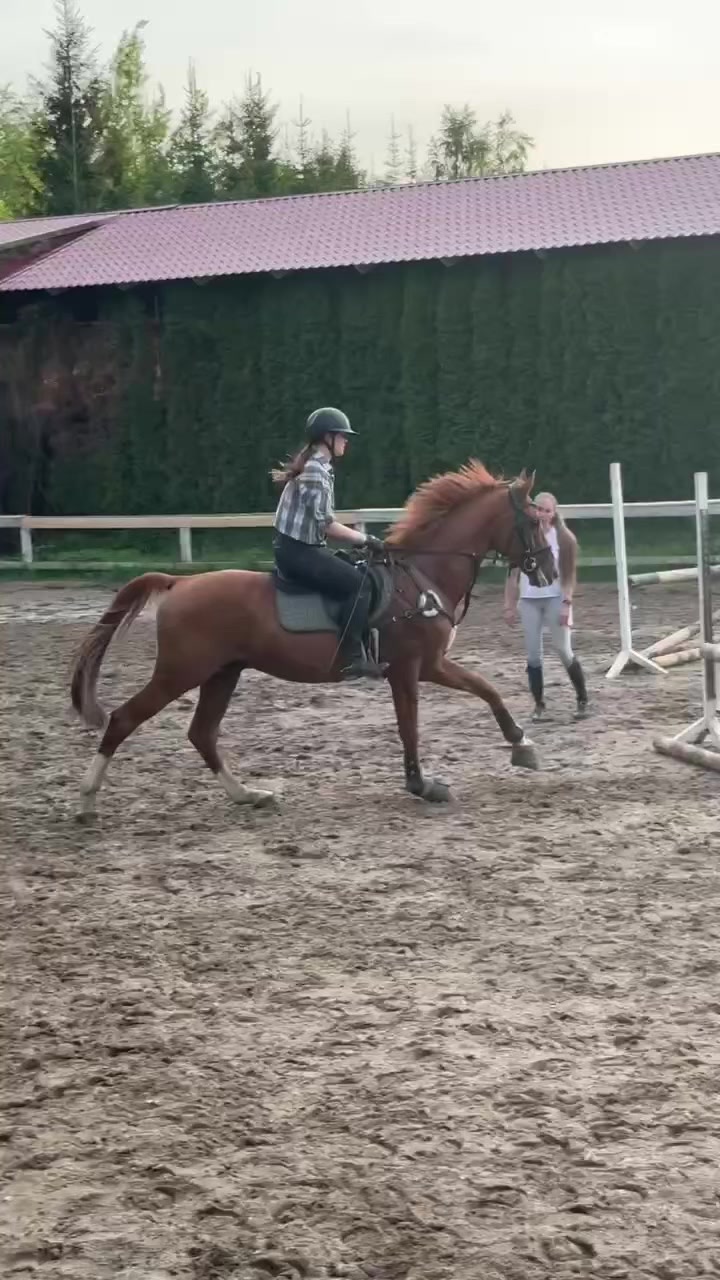 @Tгк:Margarita equestrian
