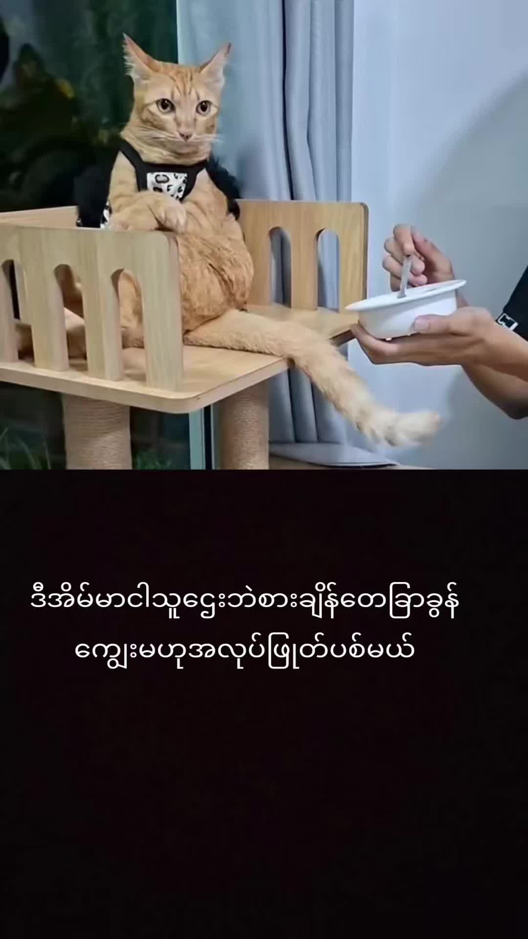 @myohlaingwin