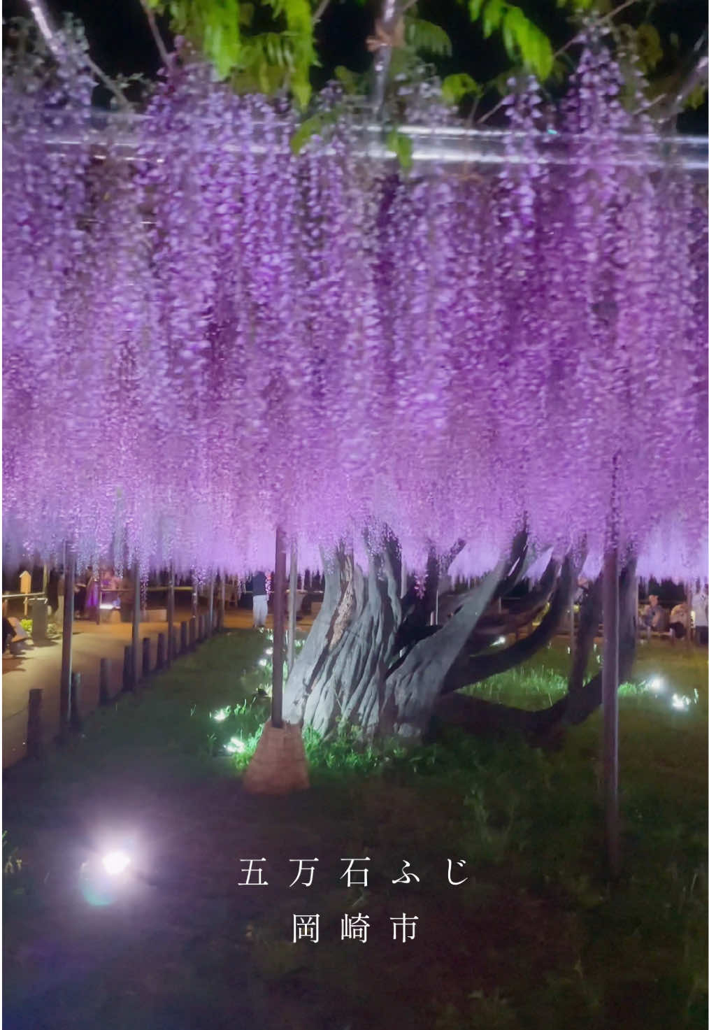 @Aichi_Traveler🎌