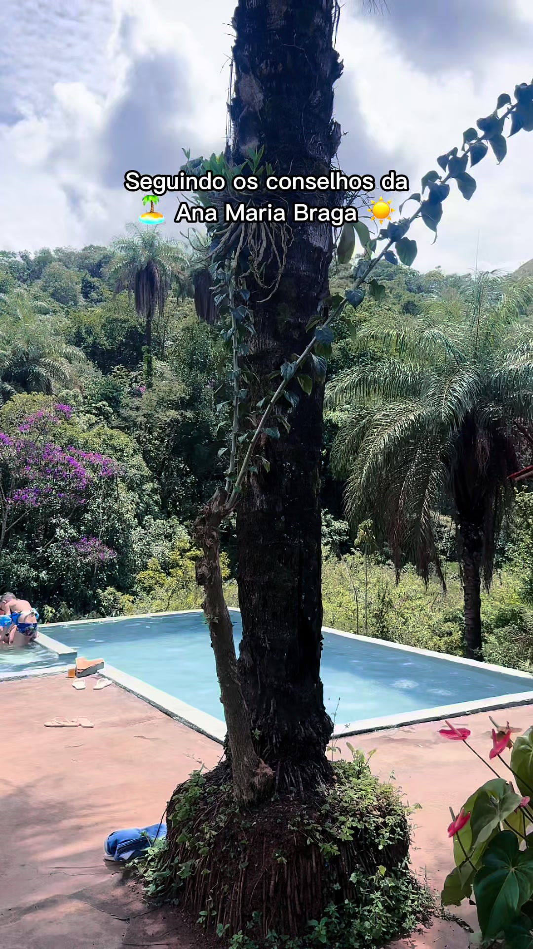 @Triângulo Aquapônico