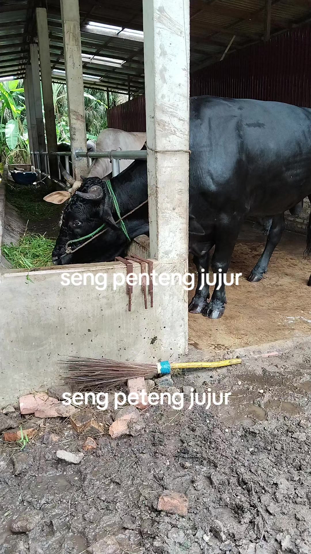 @Arif al