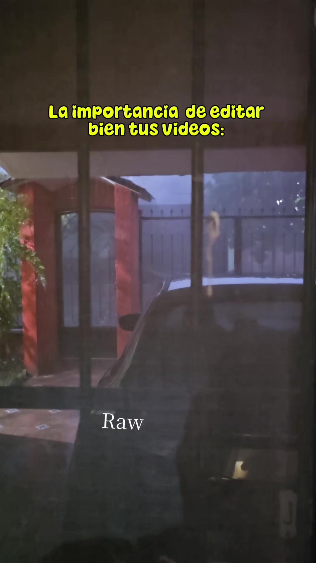 @Gaby Shalala