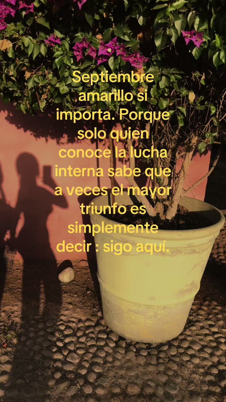 @Xiom Vargas🪽
