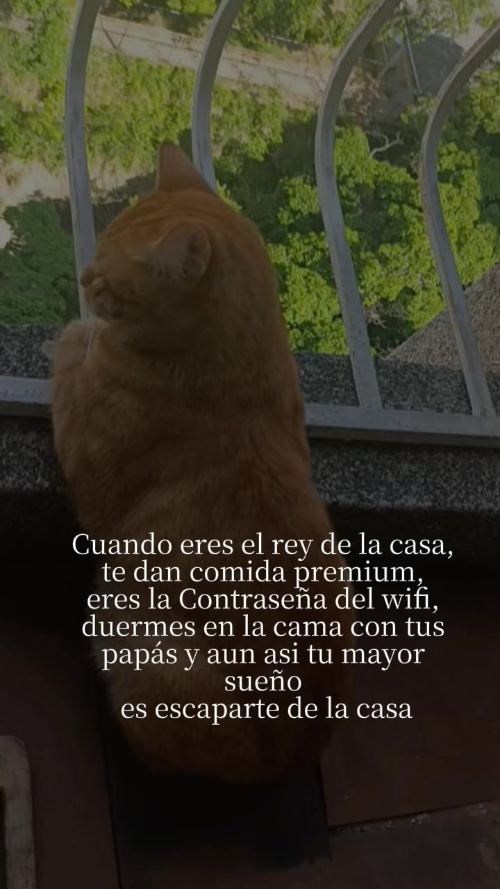 @Francis yahondy