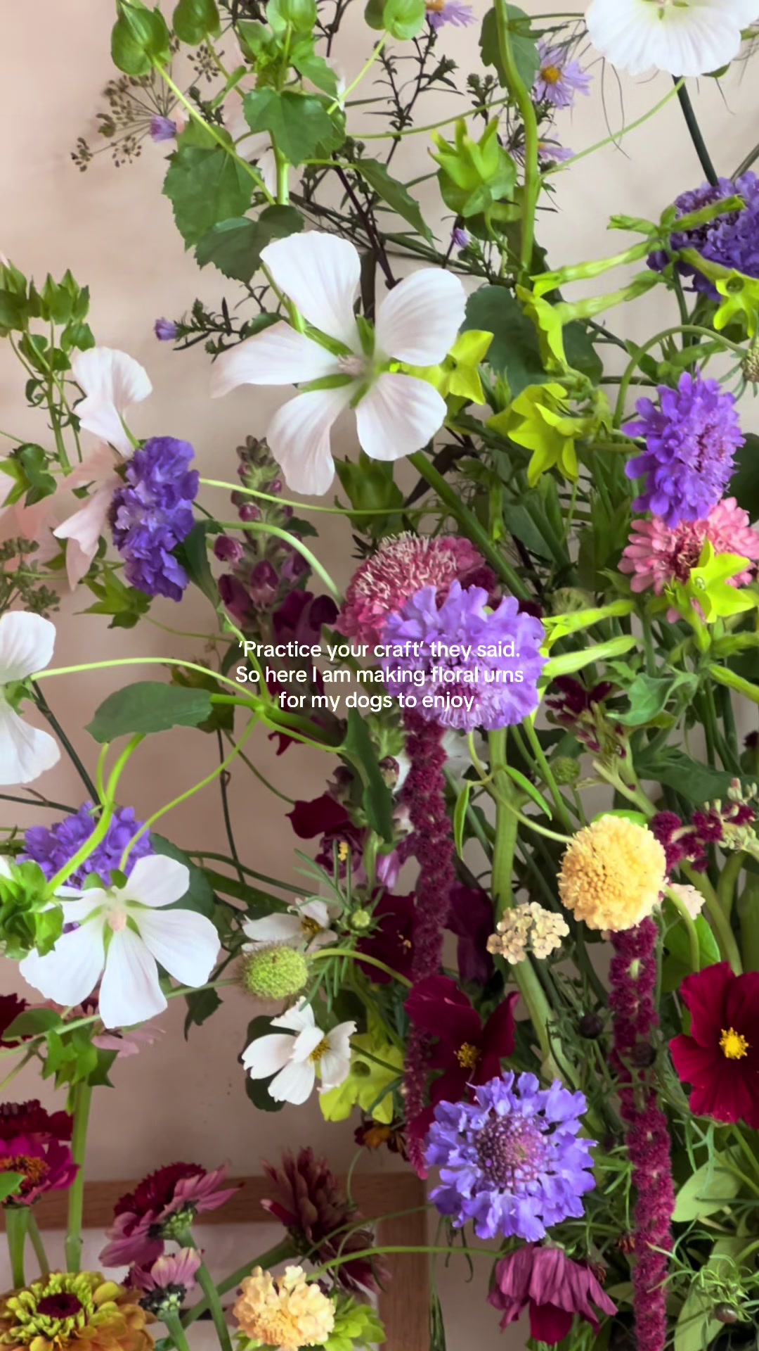 @Roisin 🌷 VerdeFlowerCo