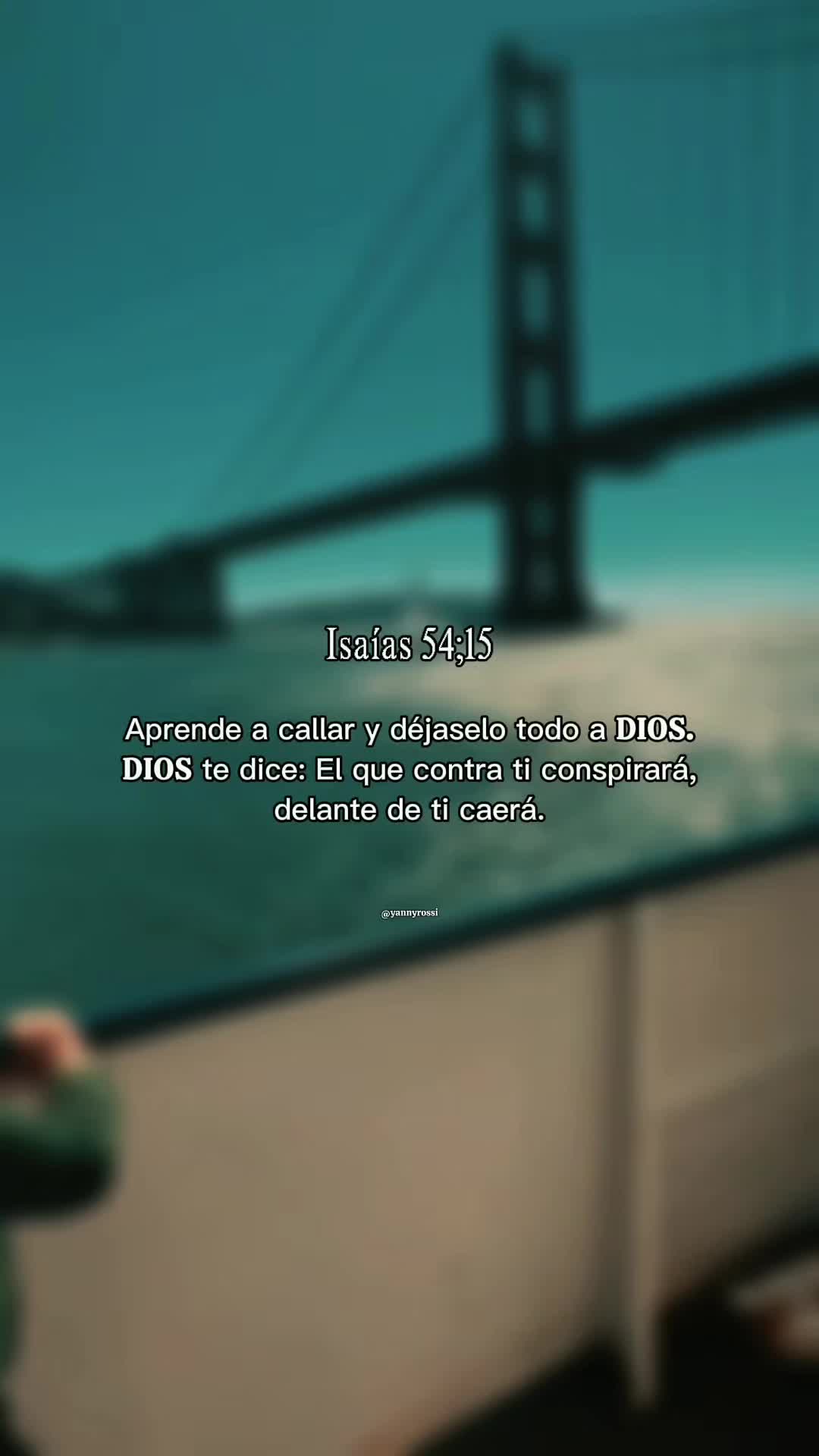 @R̊o̊s̊s̊i̊ Y̊ån̊n̊ẙ