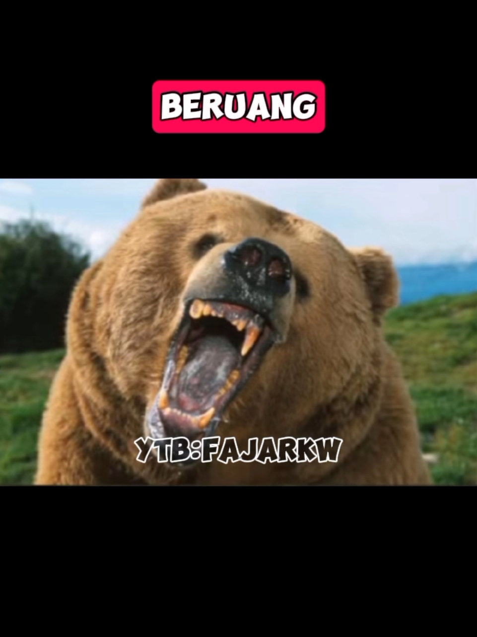 @Fajar Kw