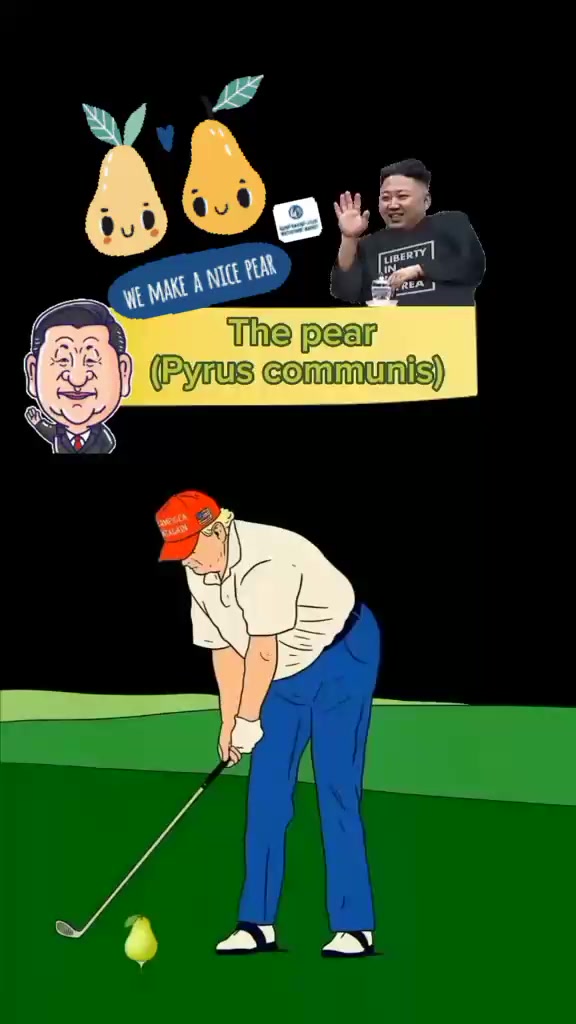 @🎩