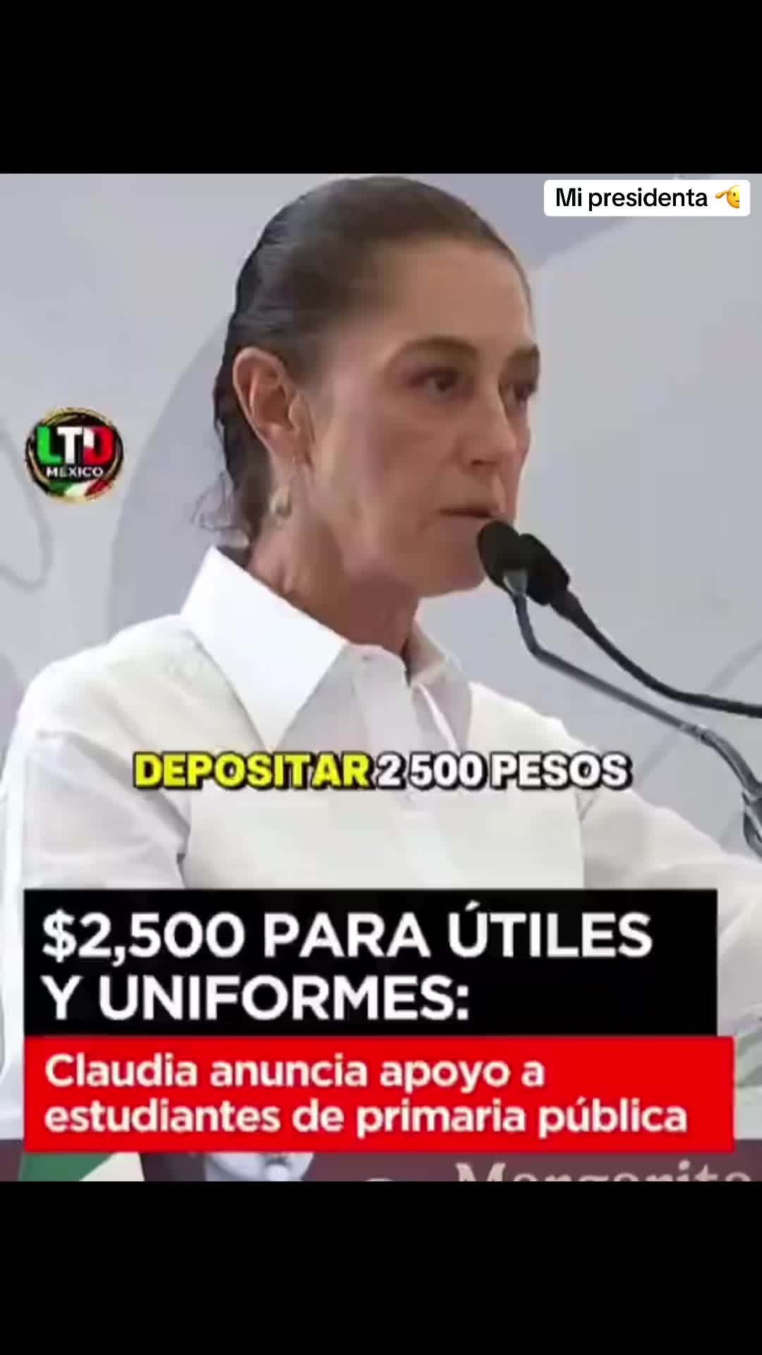 @Reporte-ando