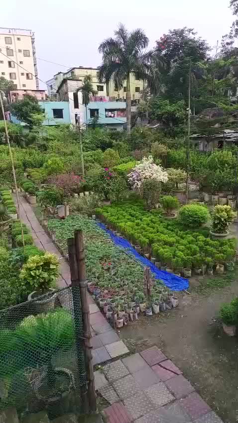 @Diba Noor