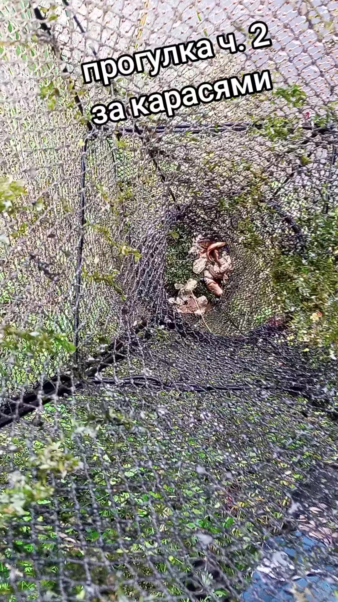 @Александр