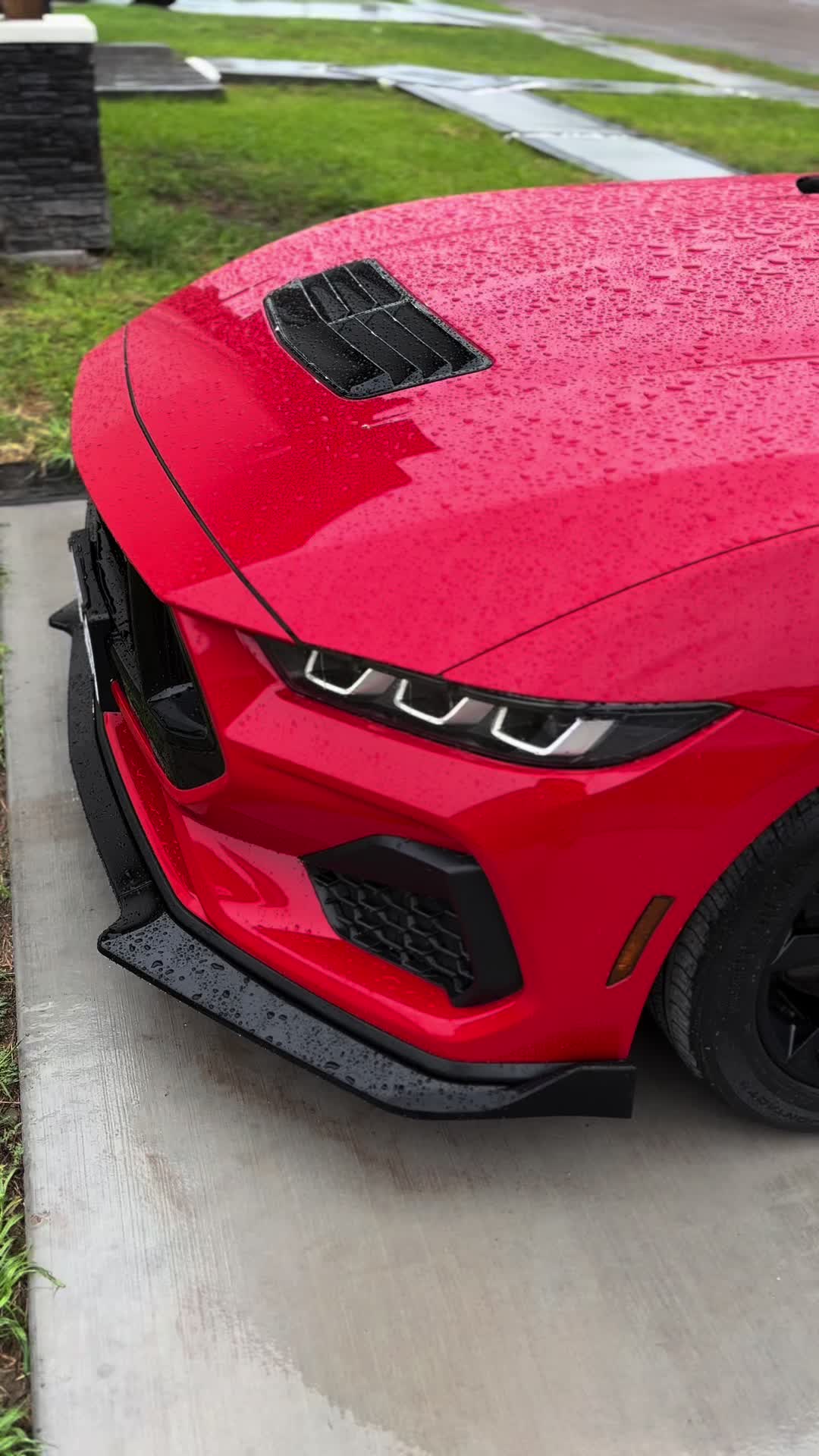 @Alex_S650🐌