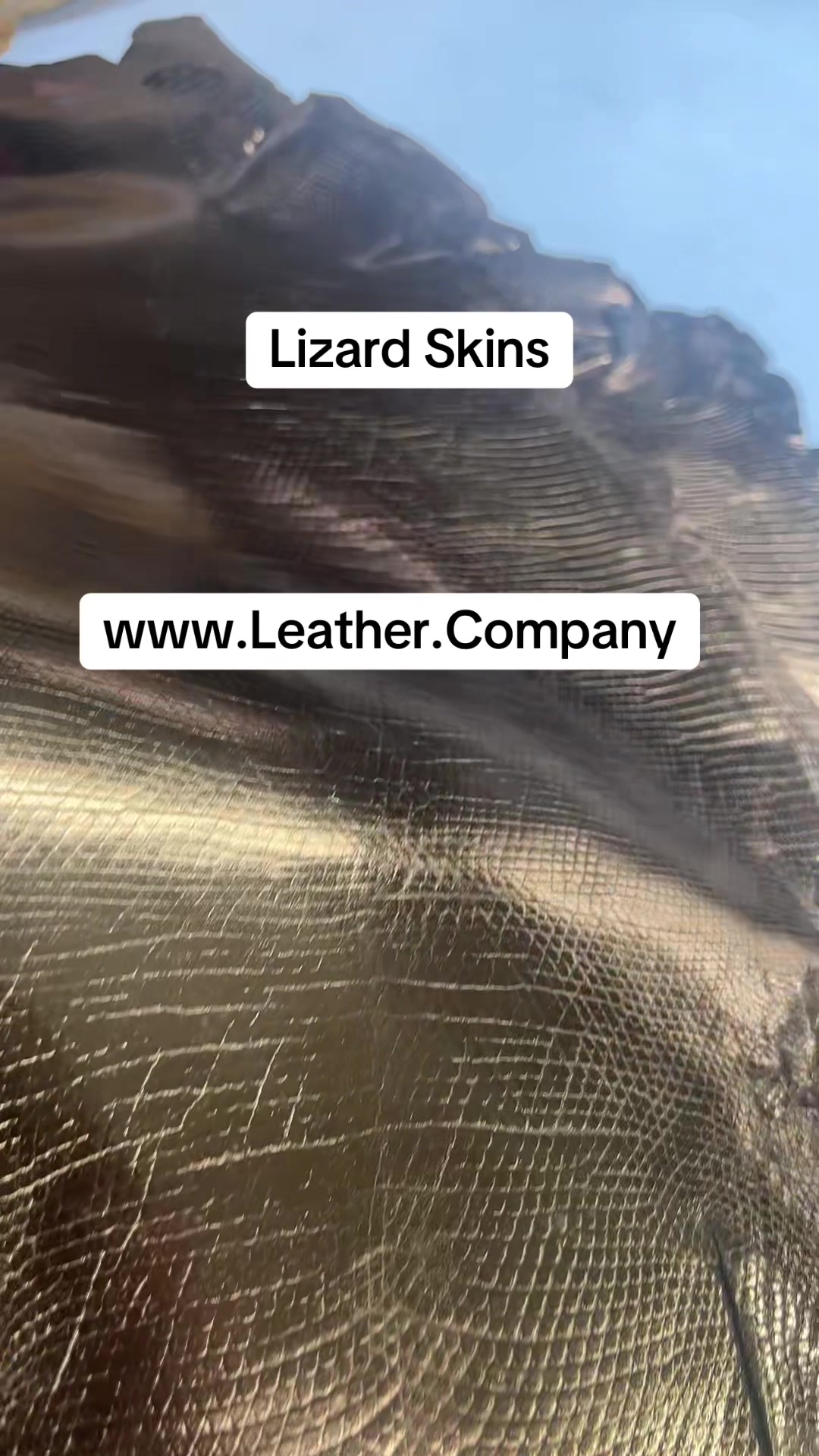 @leathercompany