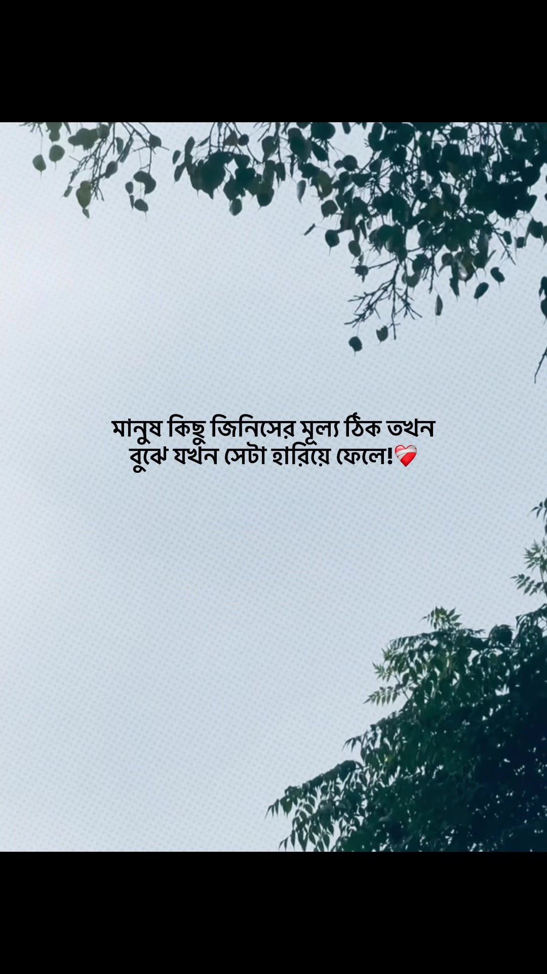 @NOTE LINE 🚩