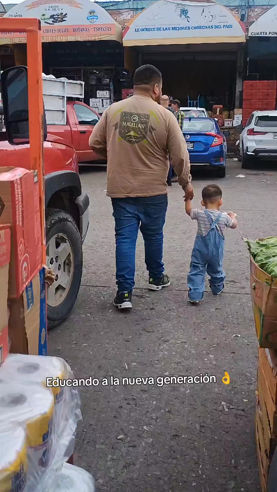 @Conecta-dos