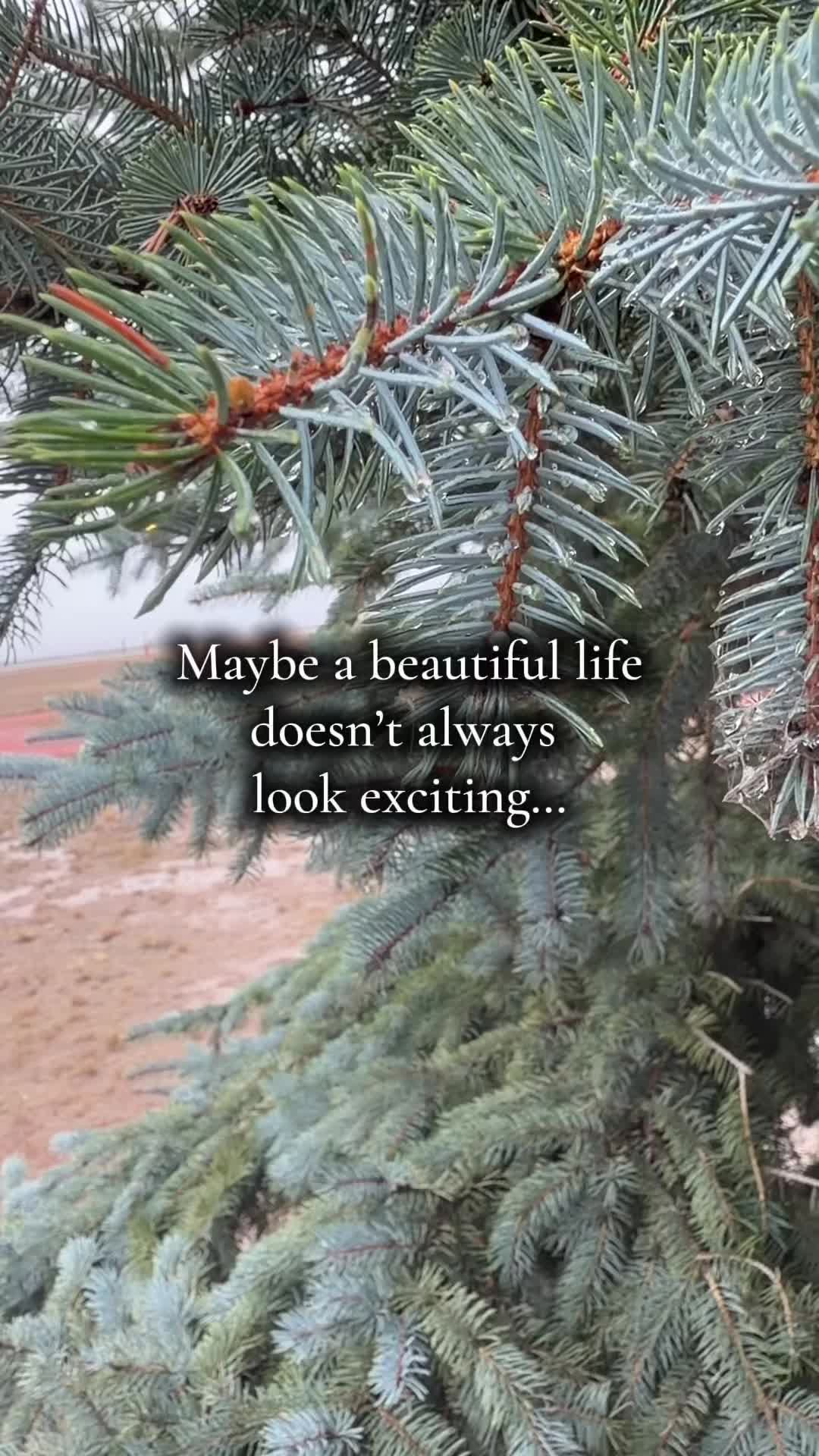 @🌻&dagger;HealthyHearted𝓂♡𝓂𝓂𝒶&dagger;🌻