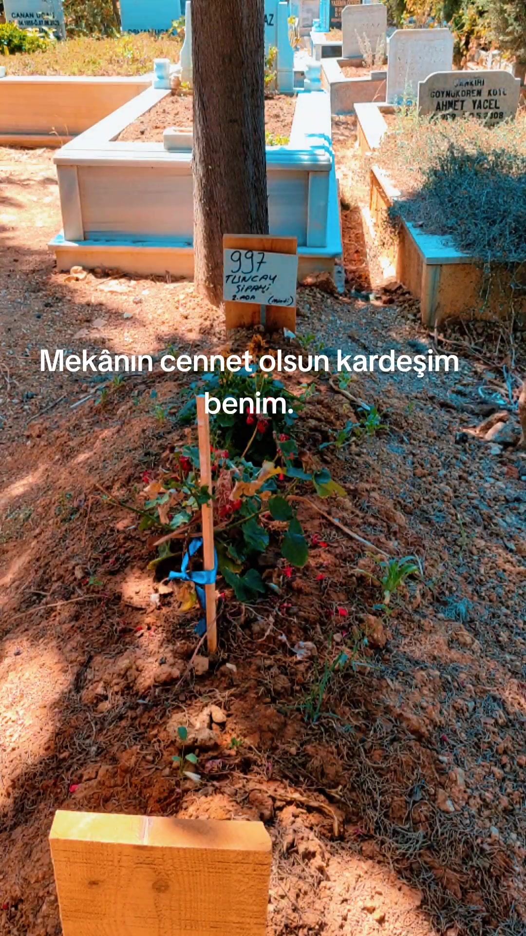 @Adem Emre Berk Ildiz