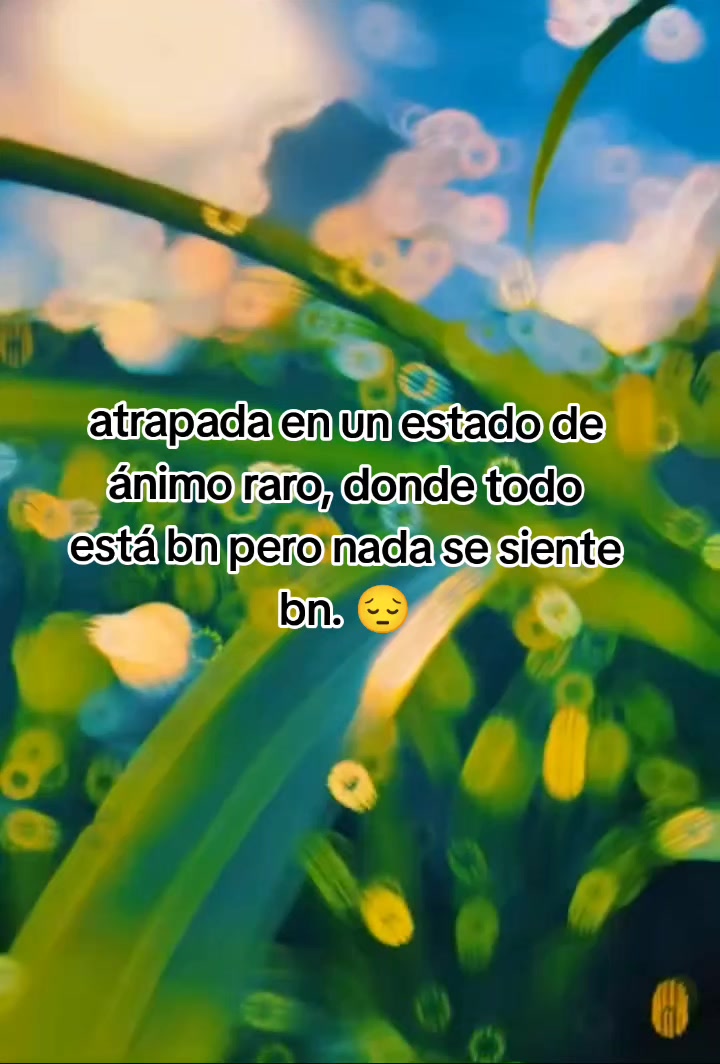 @lacaifana989