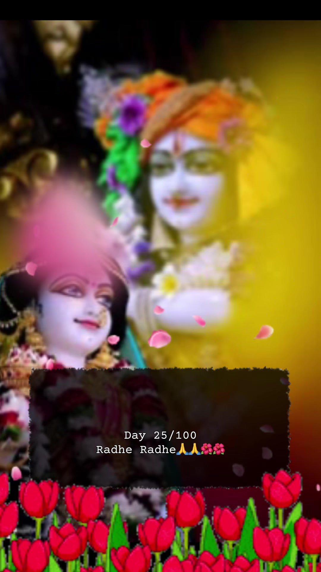 @RadheKrishna🦚🦚🙏🙏