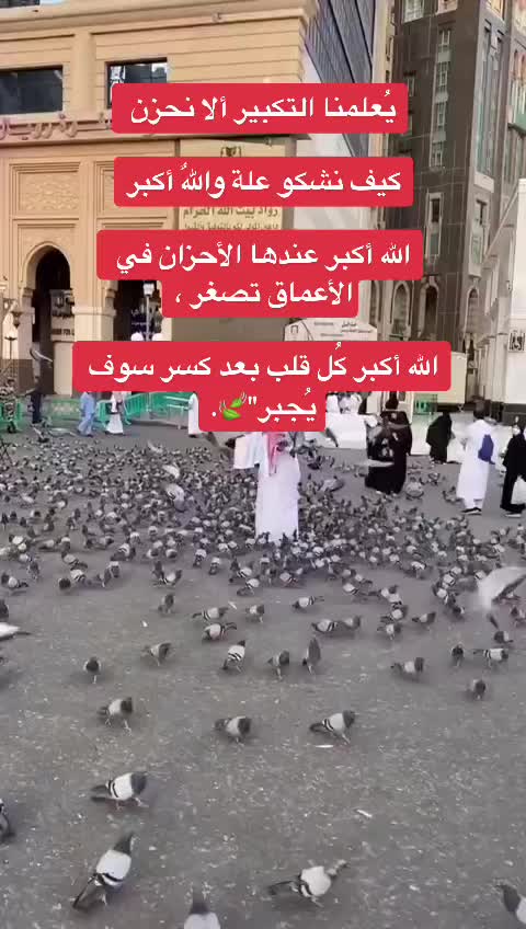 @غصن زيتون