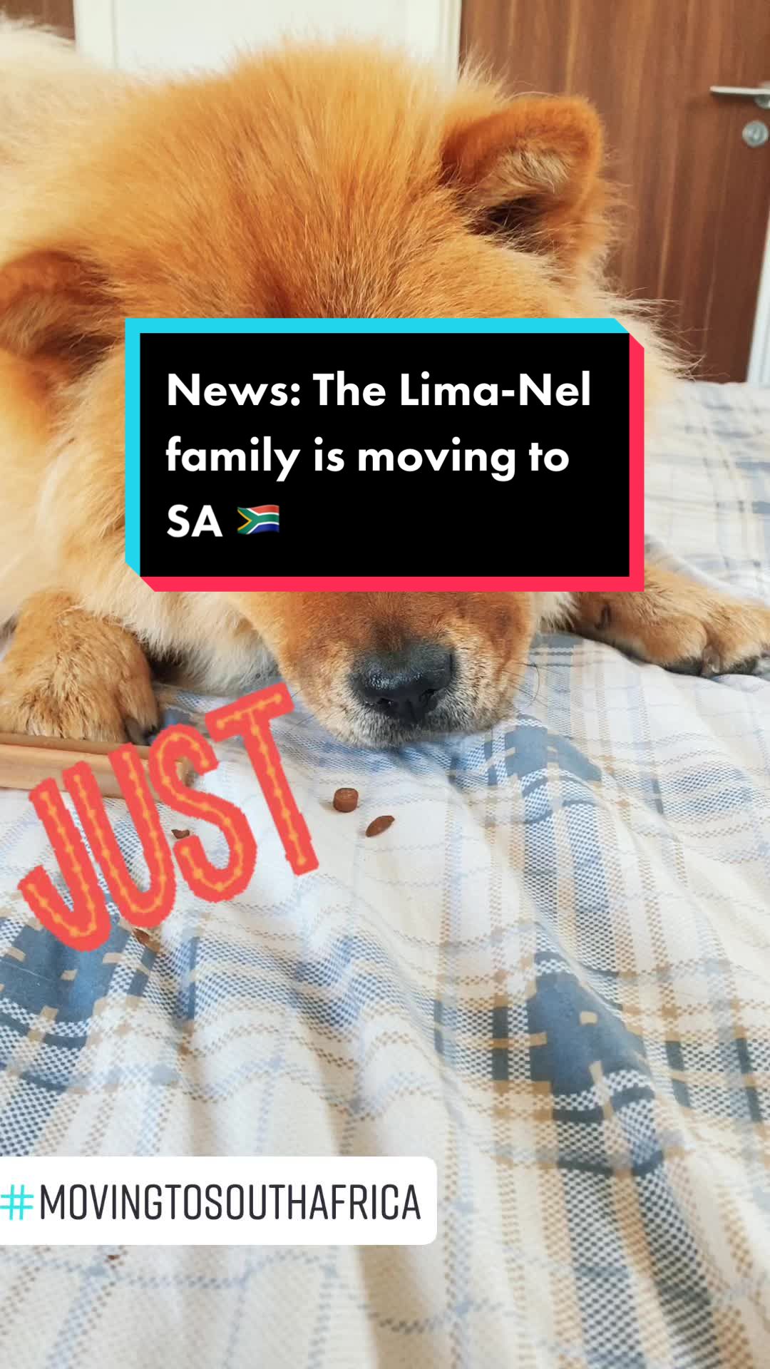 @The Lima-Nel Family