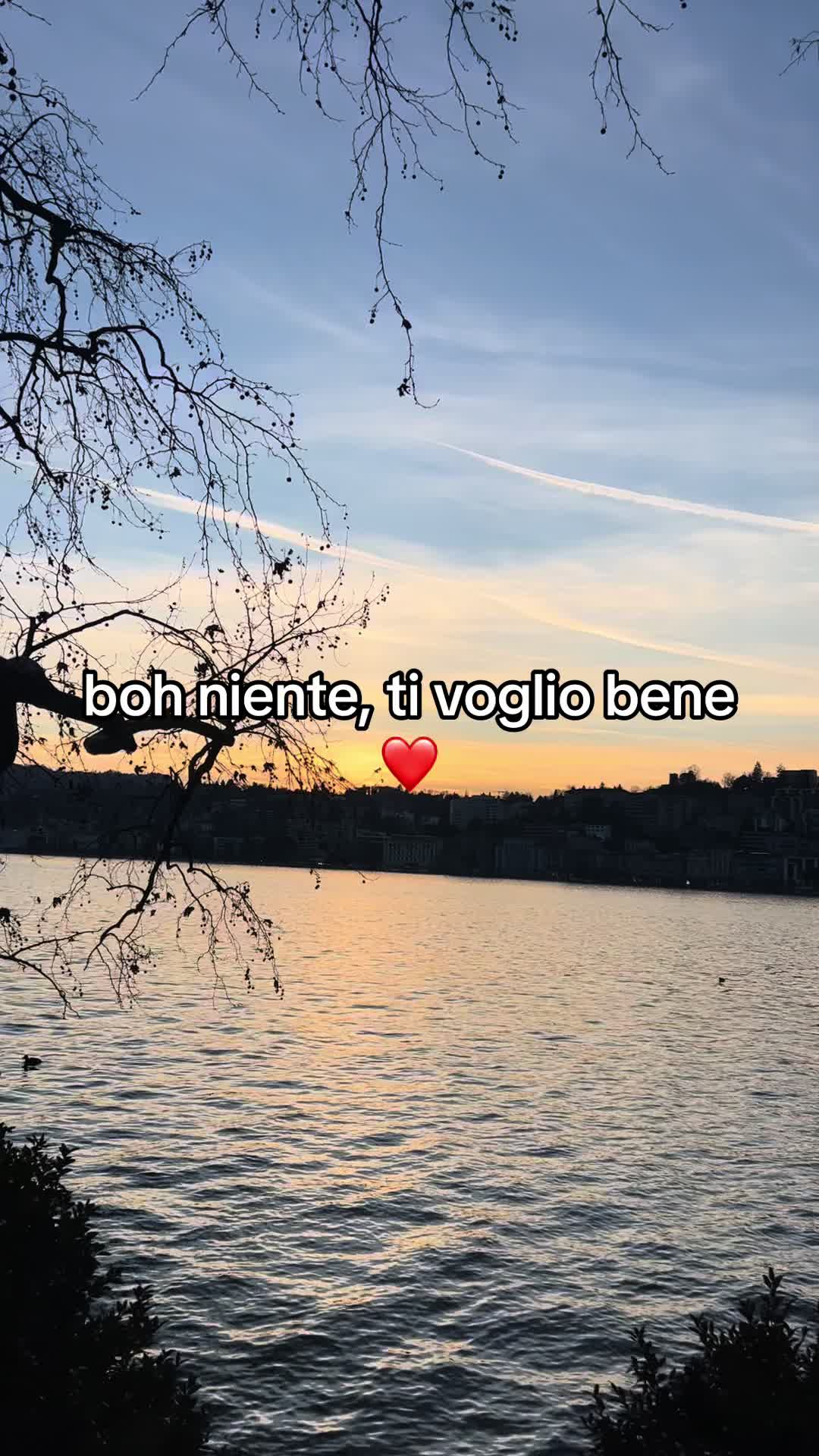 @daipassacisu__