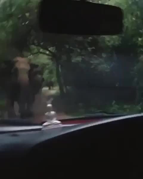 @Sri Lanka