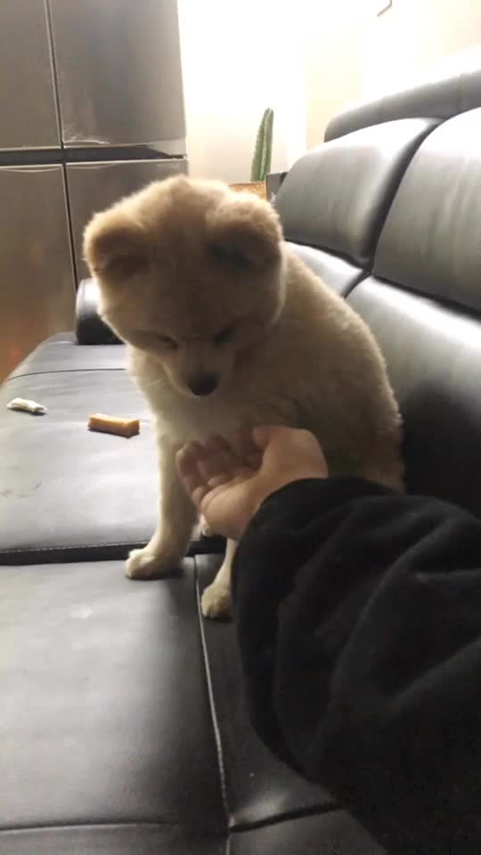 @Kiri-kiri