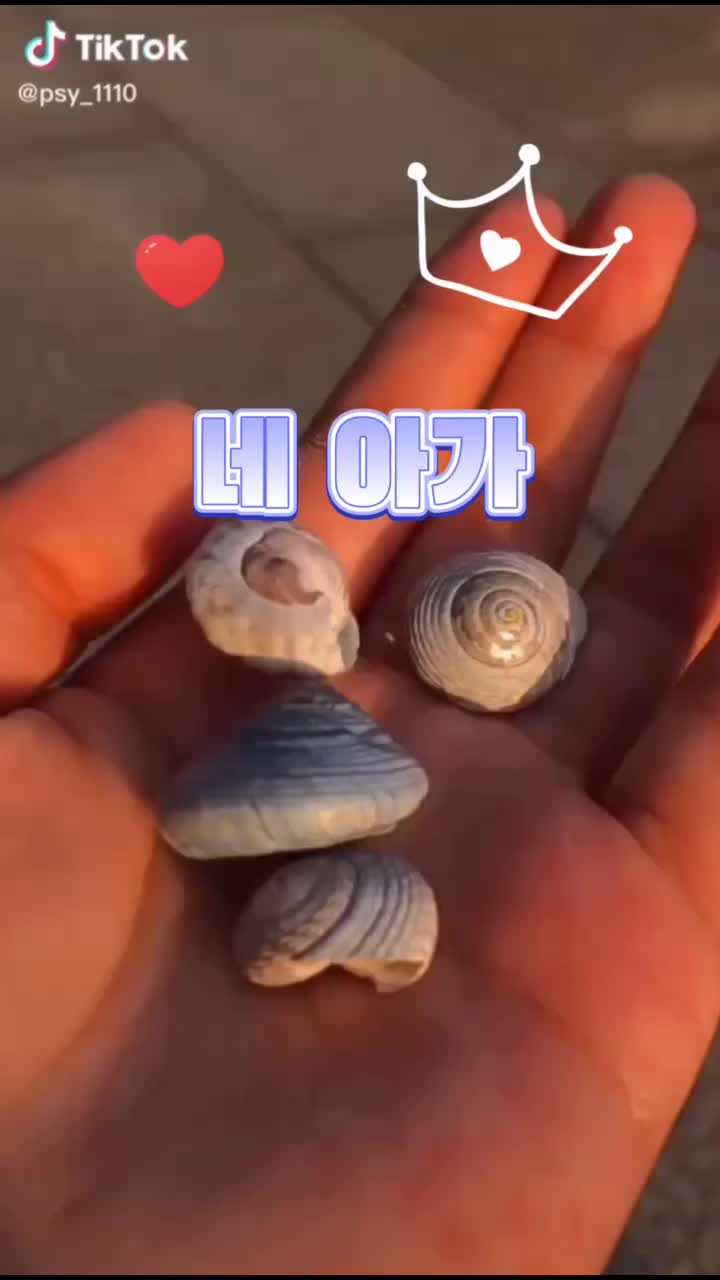 @☃하이☃