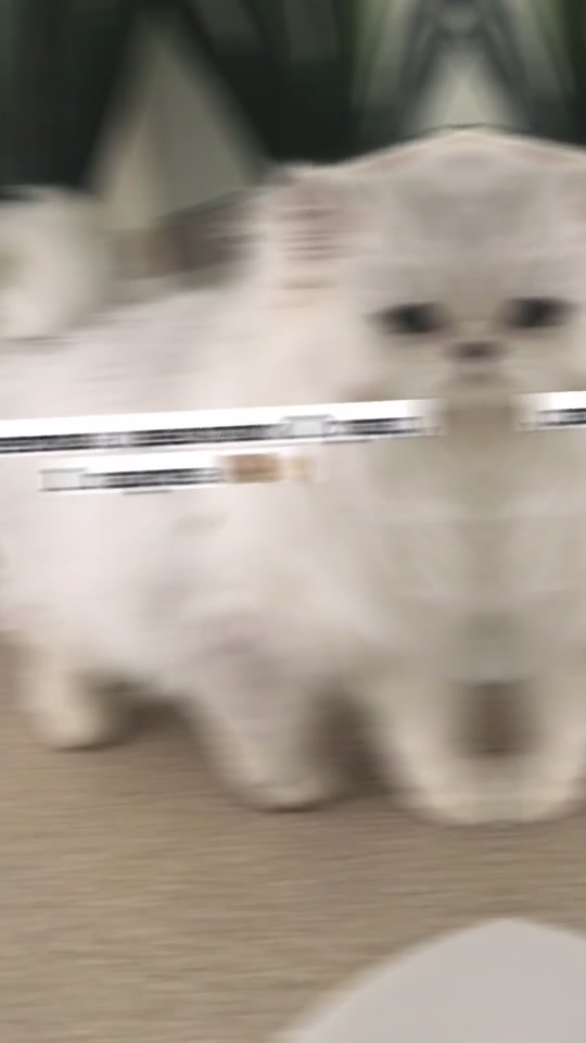 @☕️𝓫 𝓾 𝓷 𝓷 𝔂🦔
