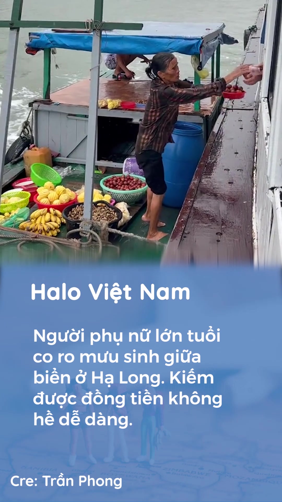 @Halo Vietnam
