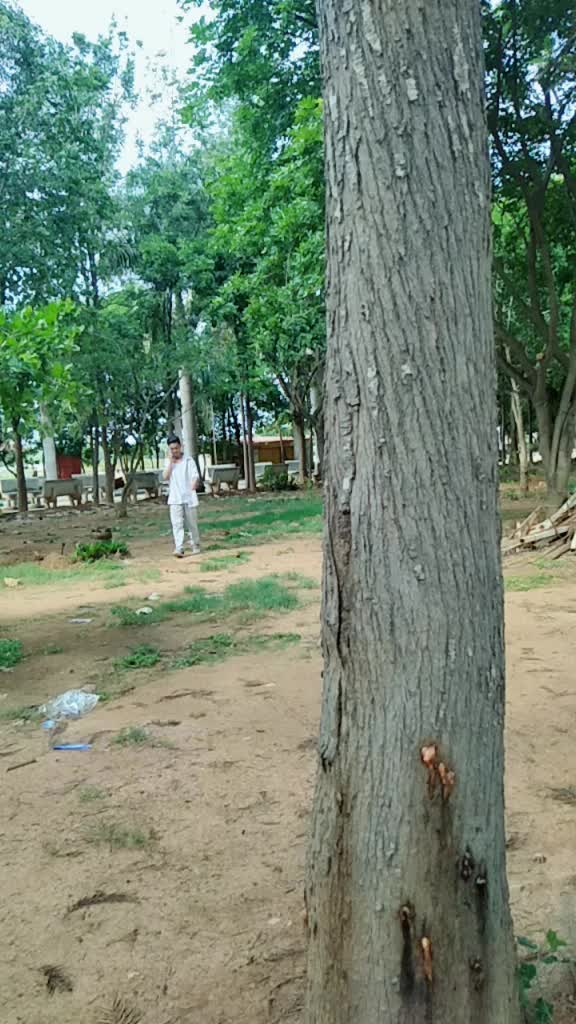 @Nijin Samuel Raju