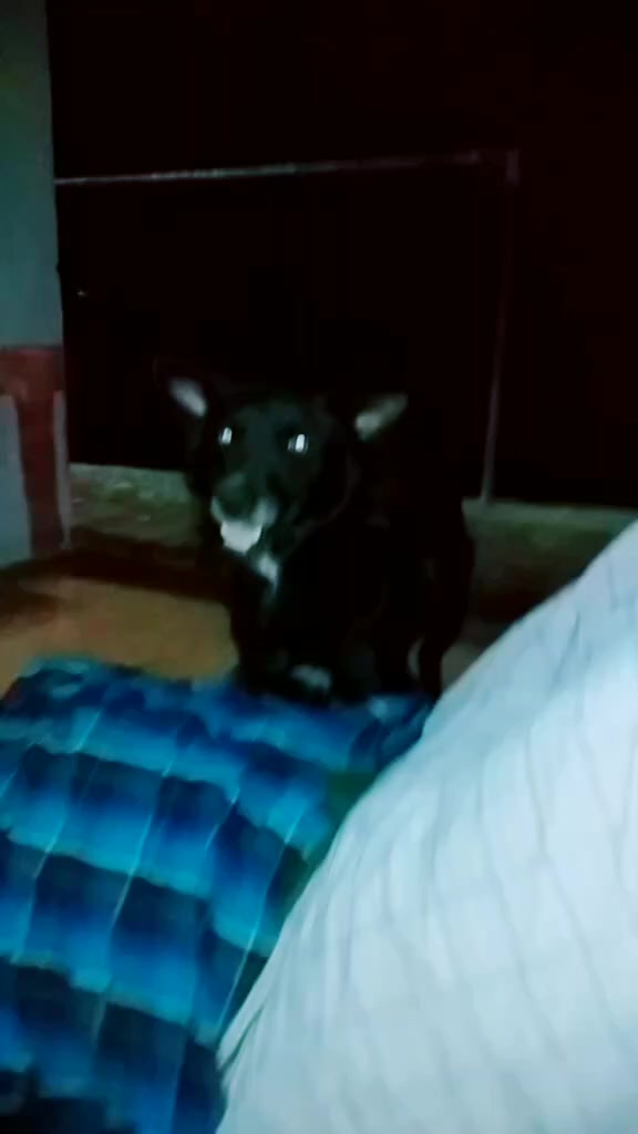 @Mano