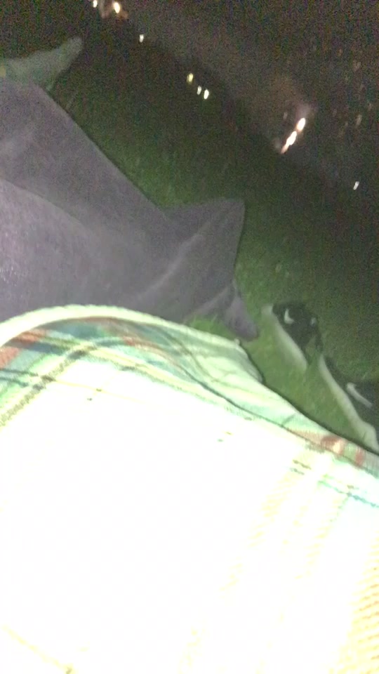 @madison.mont