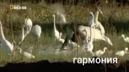 @св,.,с,....
