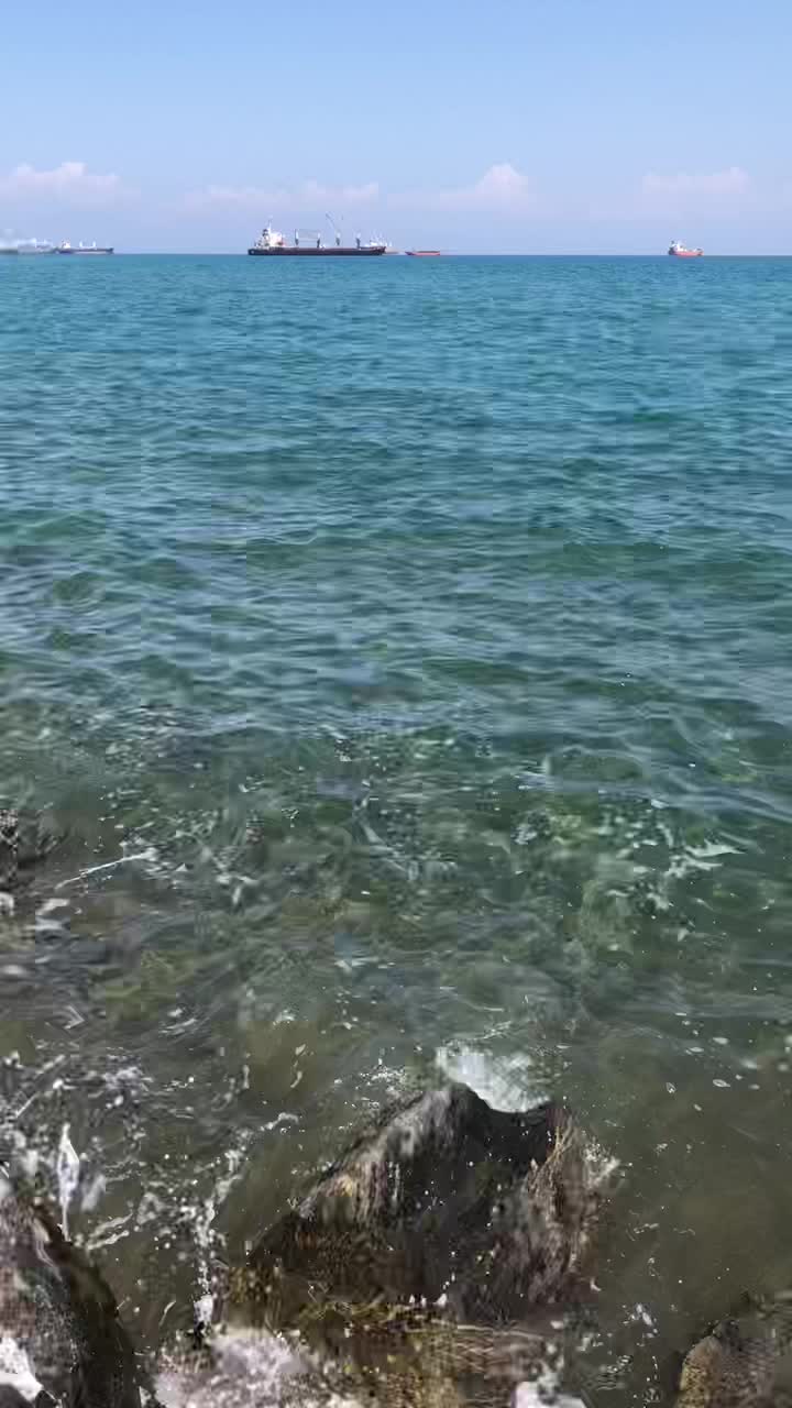 @Reis Cuma Karakaş