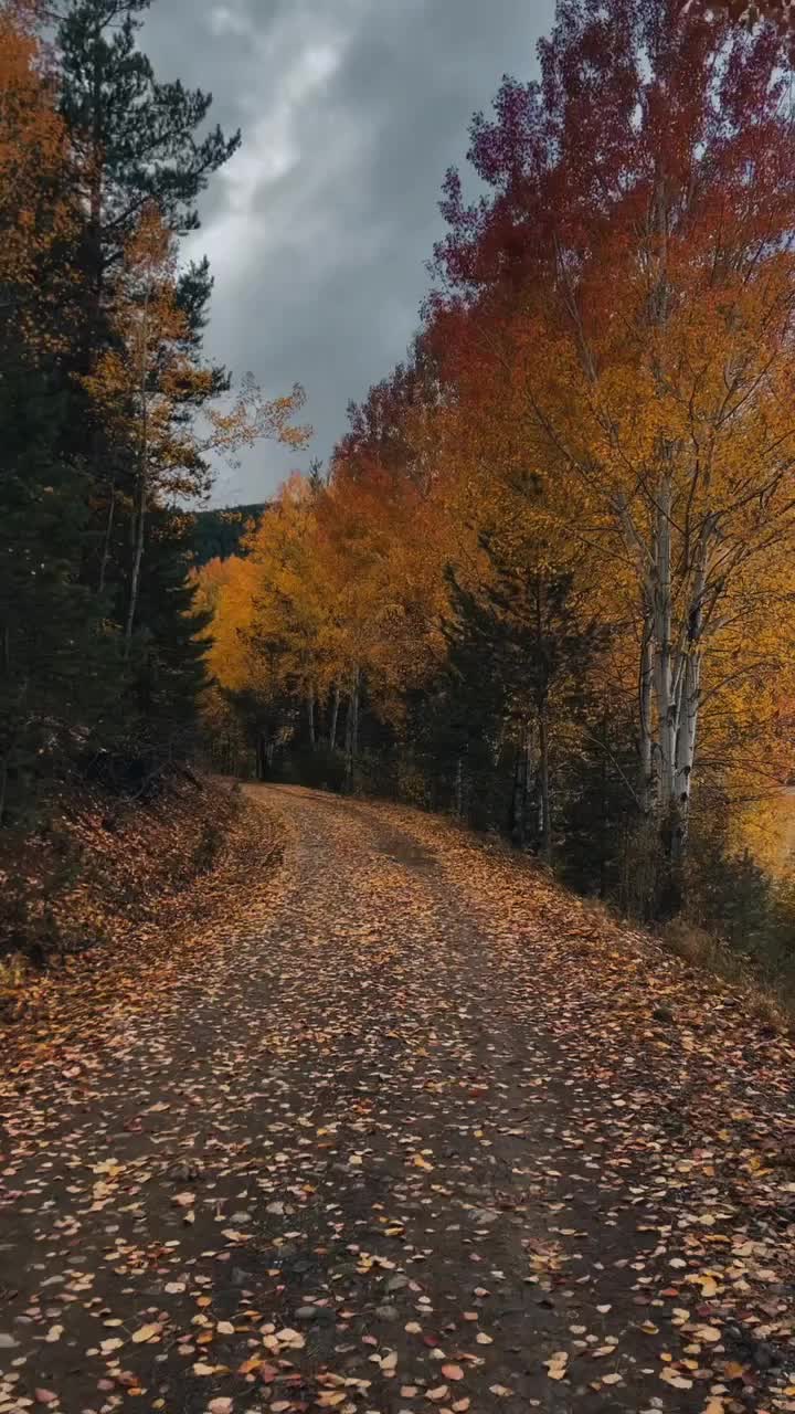 @🌹 𝓴𝓪𝓭𝓮𝓻 28