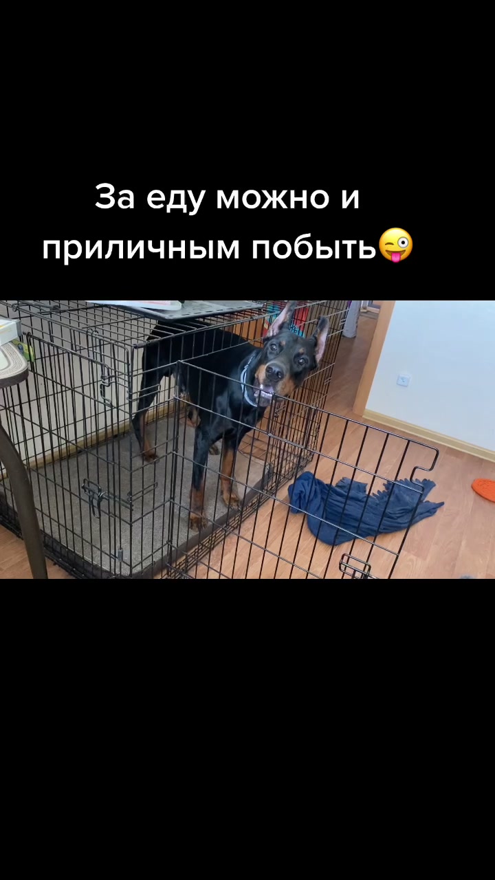 @user9574995598252