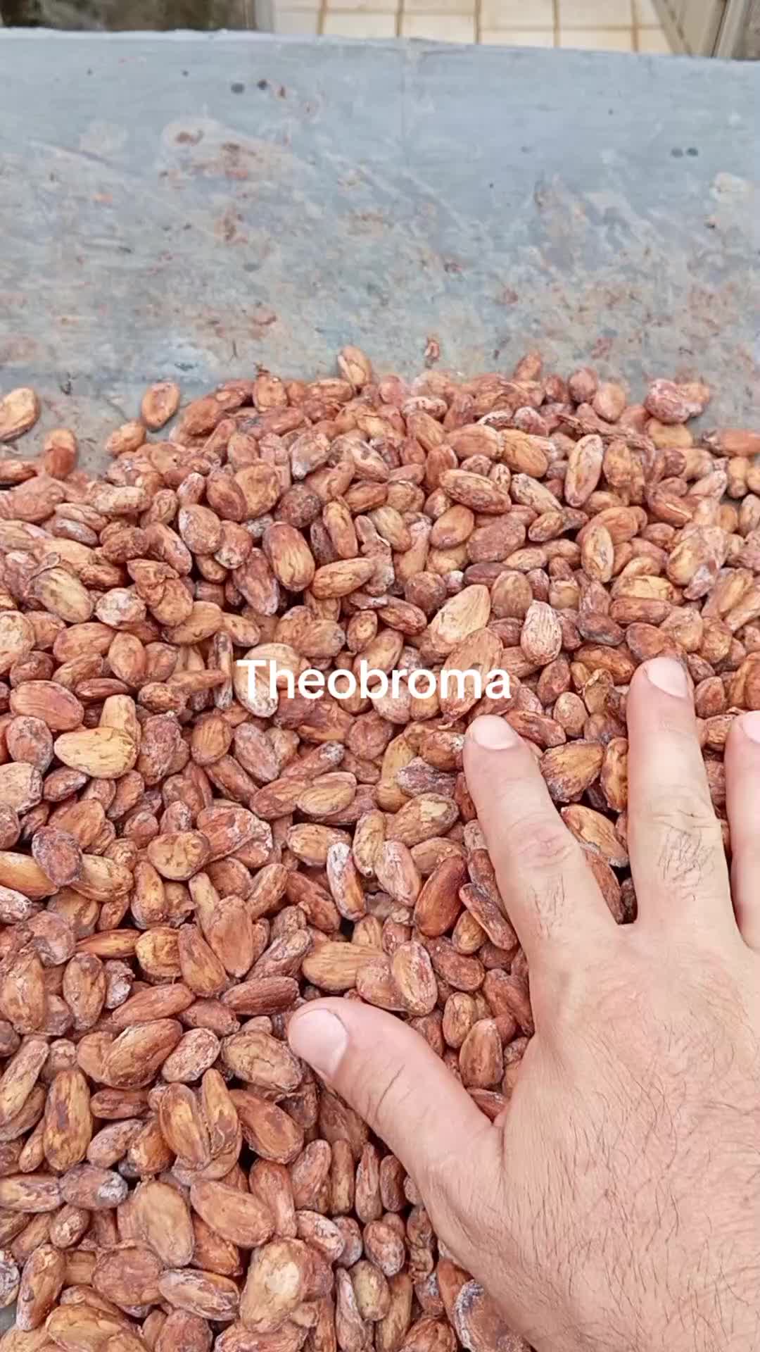 @SuperNovaRegenerative