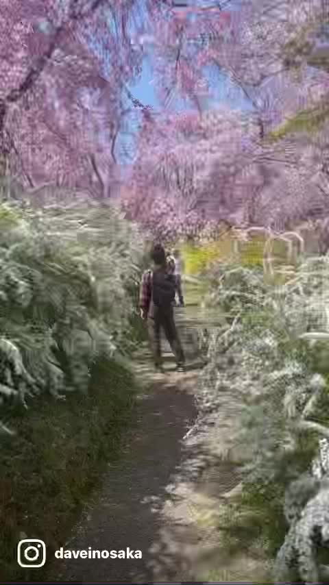 @Dave in Osaka