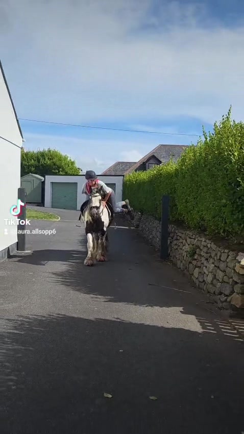 @horsetiktoc