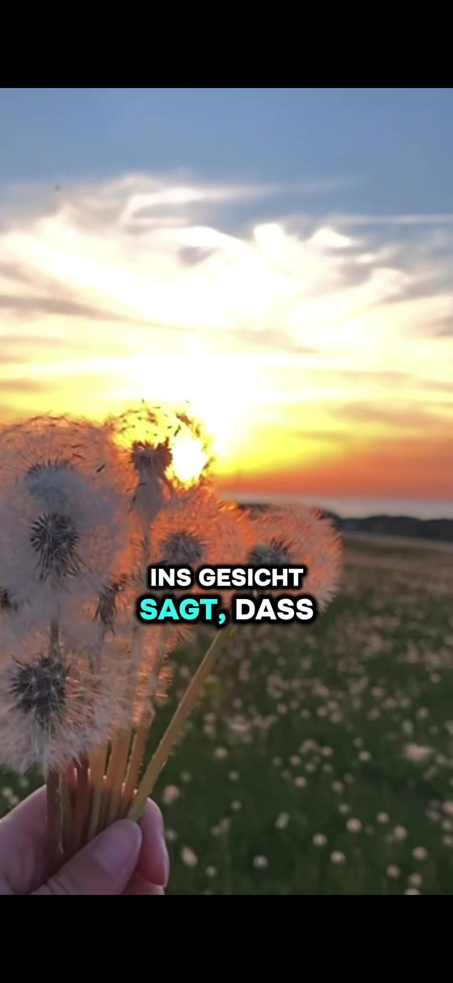 @KopfHochGedanken✨💭